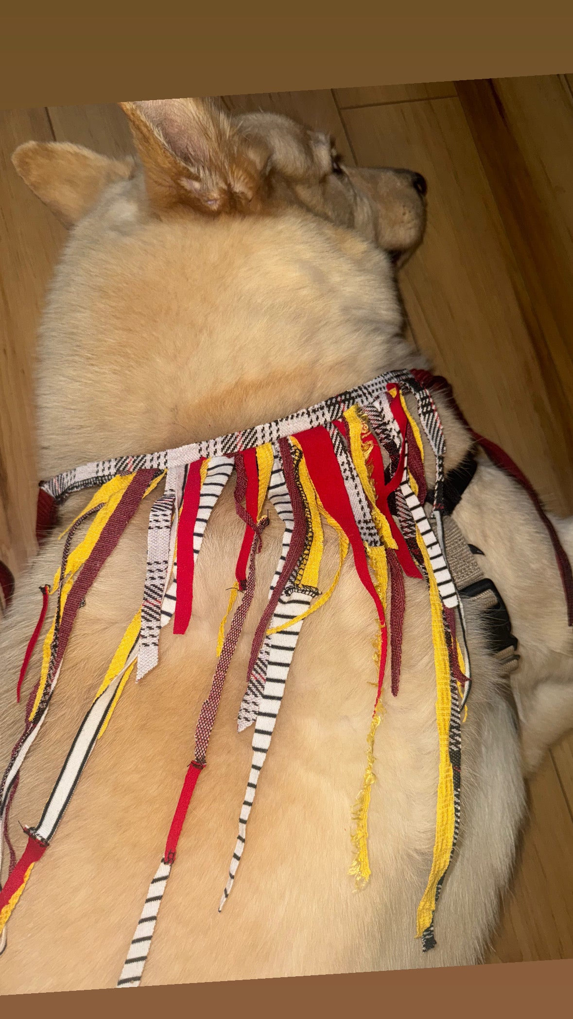Clown Collar